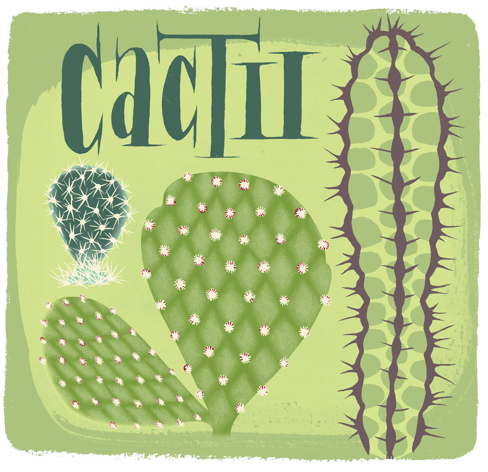 New Cactus Wall Hanging (in the works)